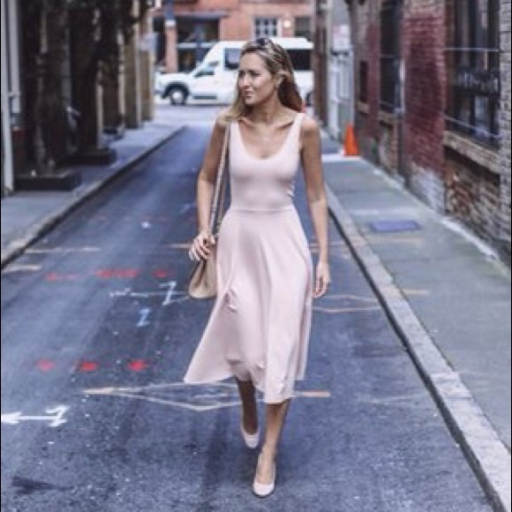 Leith Blush A-Line Stretch Knit Dress